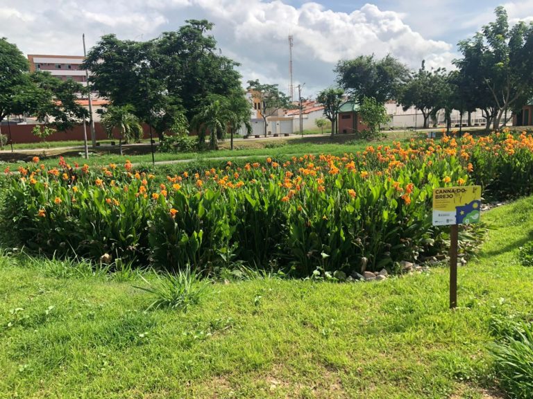 CBH Litoral Parabeniza a Prefeitura de Sobral pela conquista do primeiro lugar na Premiação ANA com os Jardins Filtrantes do Riacho Pajeú